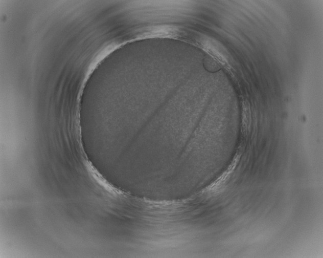 X0000071780800200607282237