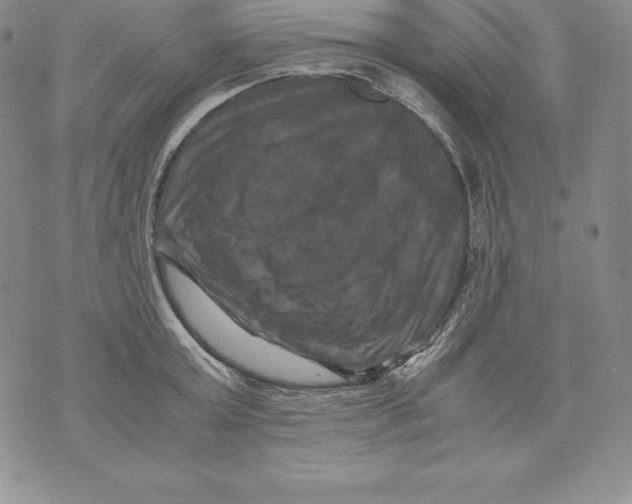 X0000071780803200607282236