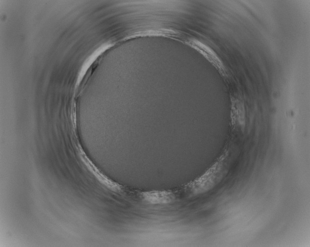 X0000071780804200607282236