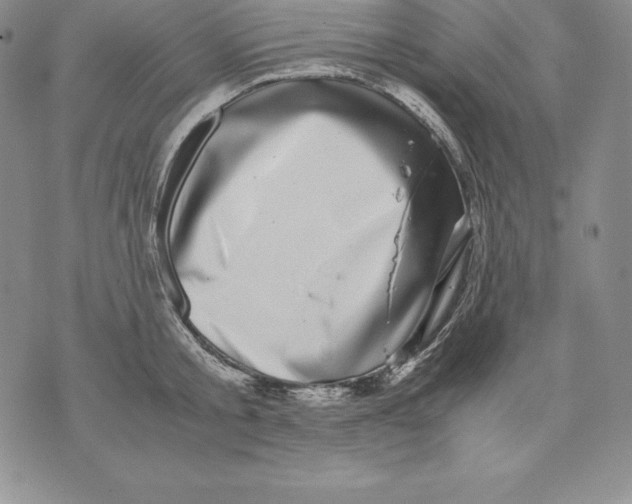 X0000071780805200607282236