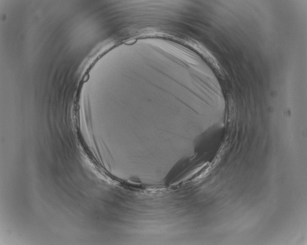 X0000071780806200607282236