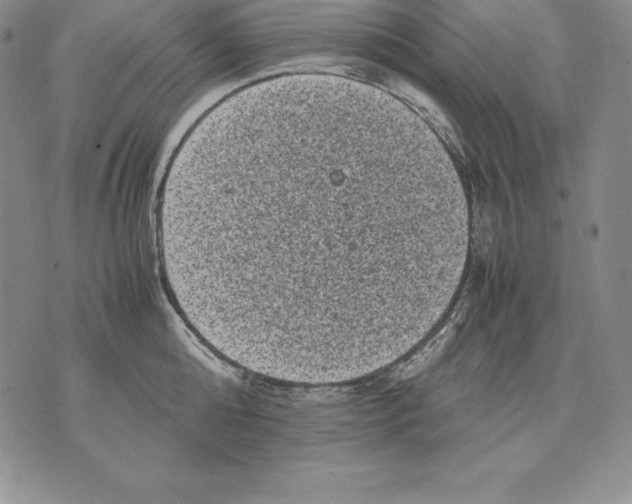 X0000071780808200607282236