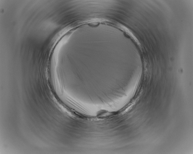 X0000071780810200607282236