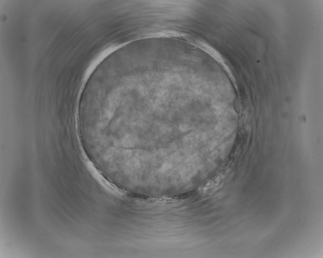 X0000071780811200607282236