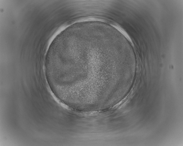 X0000071780813200607282236