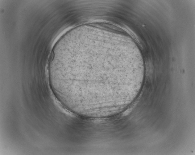 X0000071780814200607282236