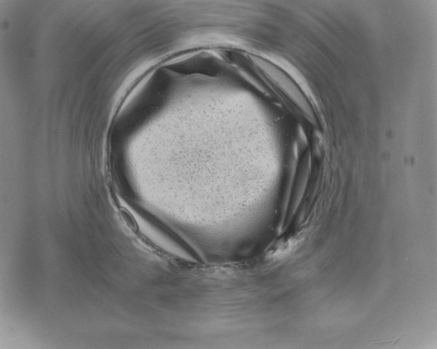 X0000071780815200607282236