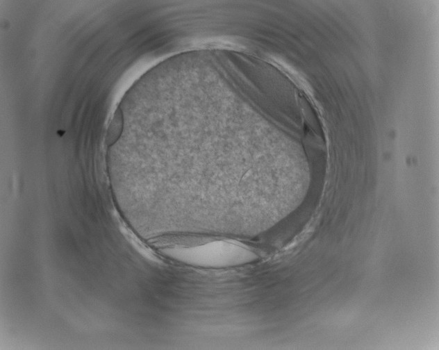 X0000071780816200607282236