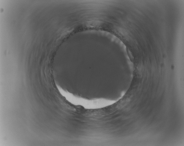 X0000071780817200607282236