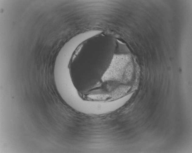 X0000071780818200607282236