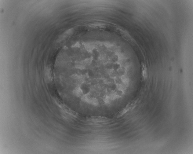 X0000071780819200607282236