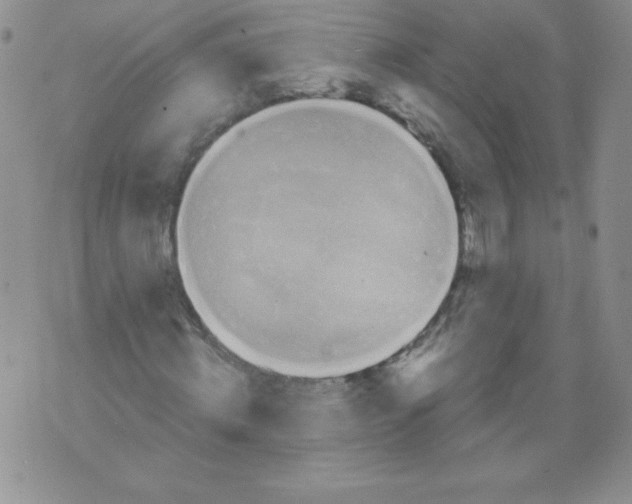 X0000071780820200607282236