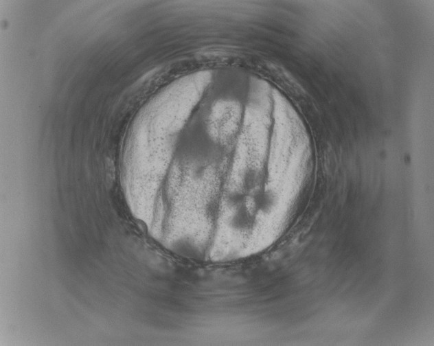 X0000071780821200607282236