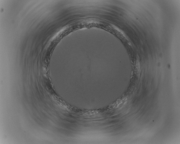 X0000071780823200607282236