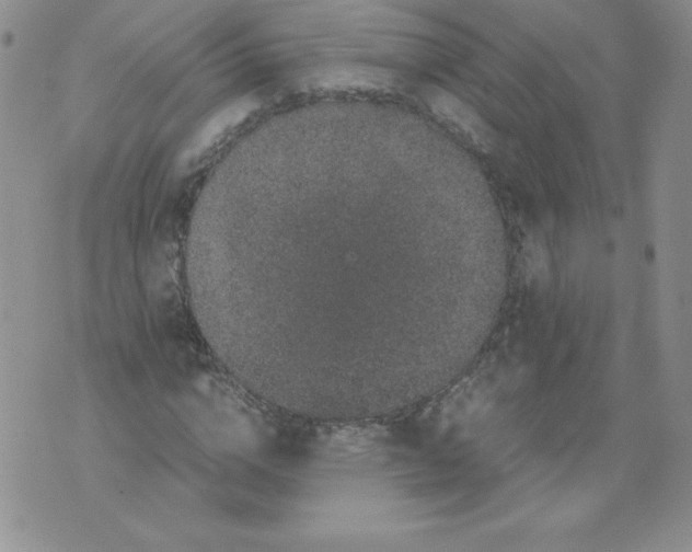 X0000071780824200607282236