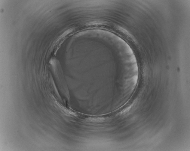 X0000071780825200607282236