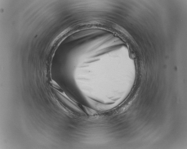 X0000071780826200607282236