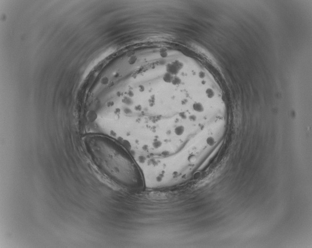 X0000071780827200607282236