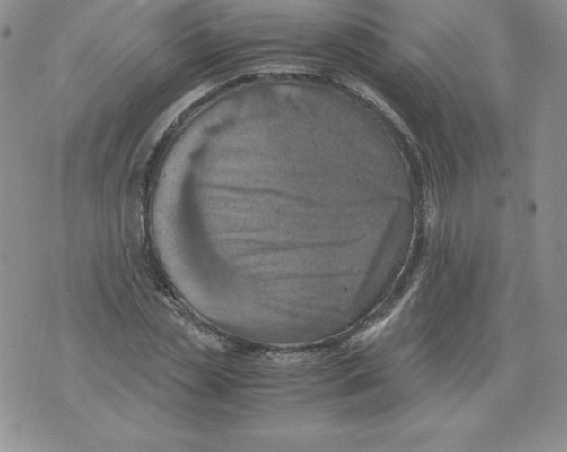 X0000071780829200607282236