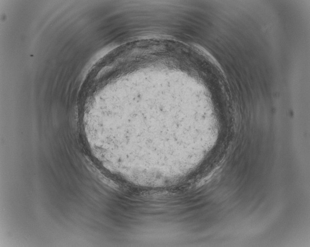 X0000071780831200607282236