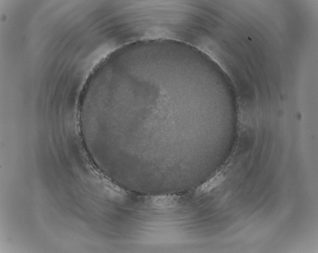 X0000071780832200607282236