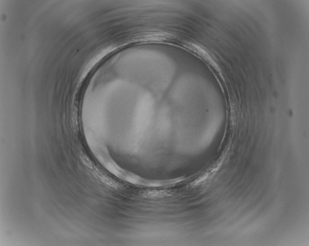 X0000071780835200607282236