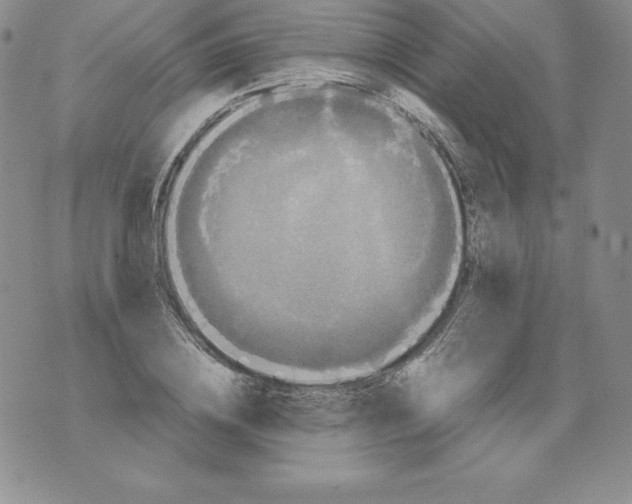 X0000071780836200607282236