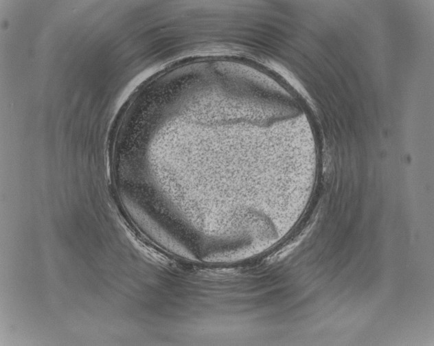 X0000071780837200607282236