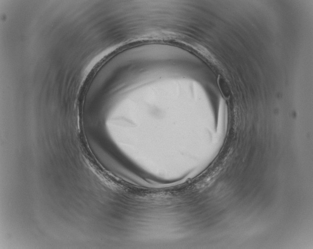 X0000071780838200607282236