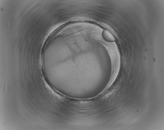 X0000071780839200607282236