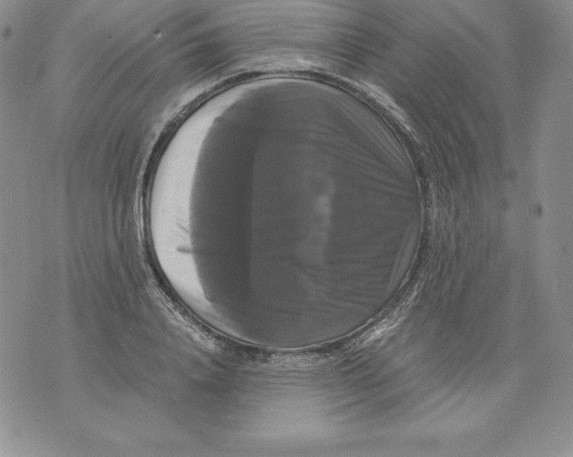 X0000071780840200607282236