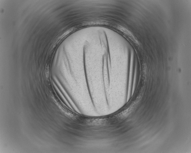 X0000071780841200607282236