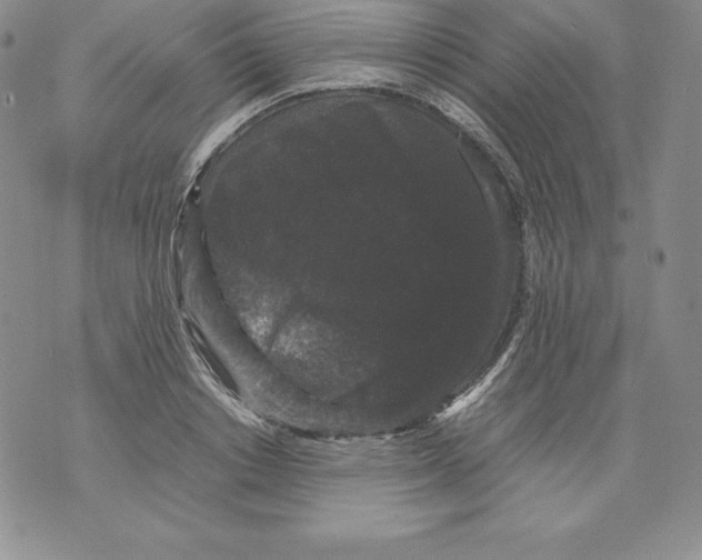 X0000071780842200607282236