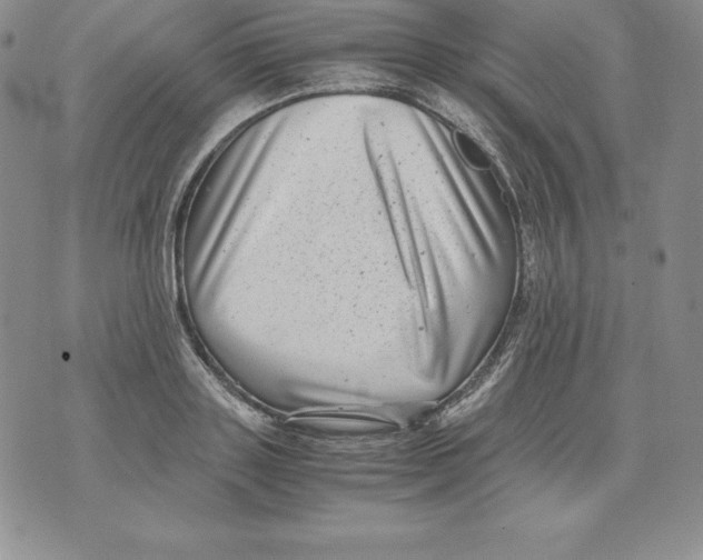 X0000071780843200607282236