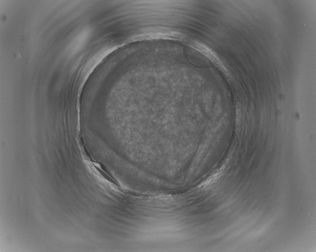 X0000071780844200607282236