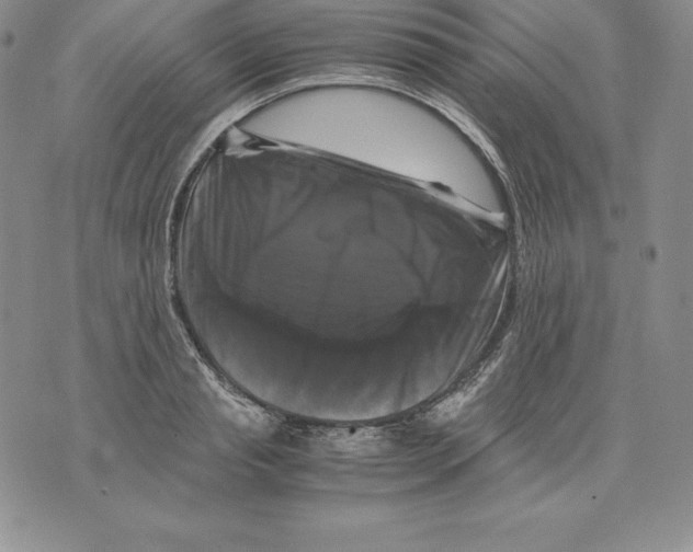 X0000071780845200607282236