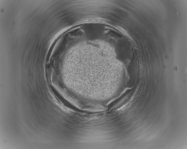 X0000071780846200607282236