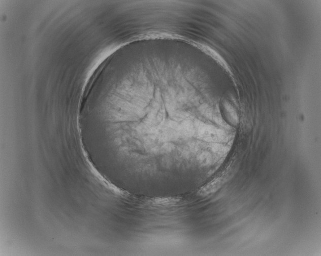 X0000071780847200607282236