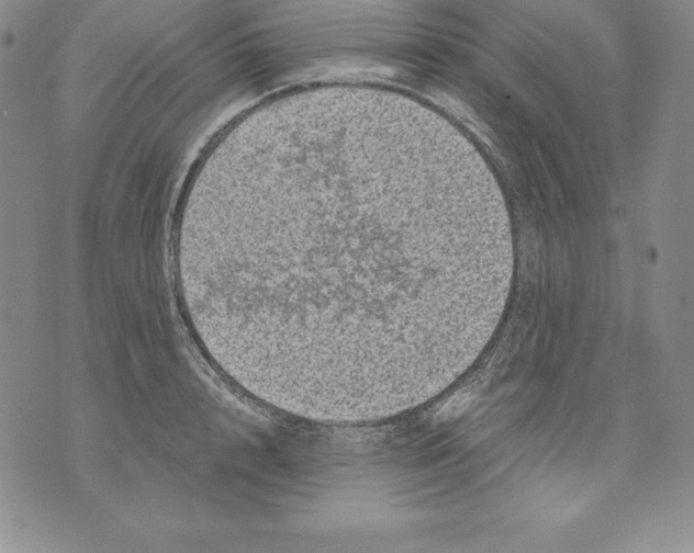 X0000071780848200607282236