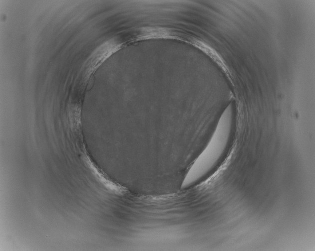 X0000071780849200607282236