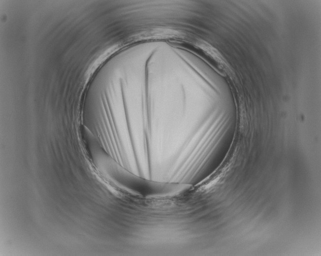 X0000071780850200607282236