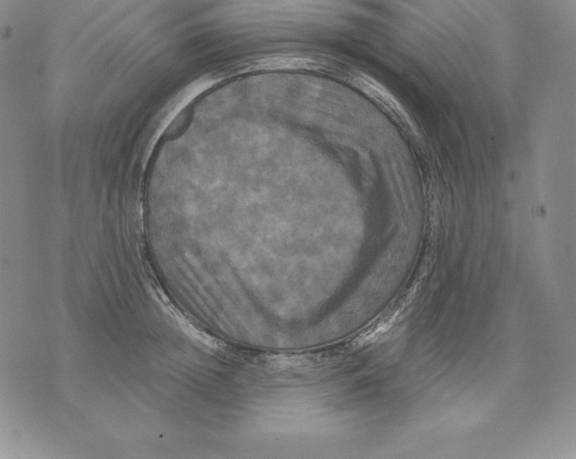 X0000071780852200607282236