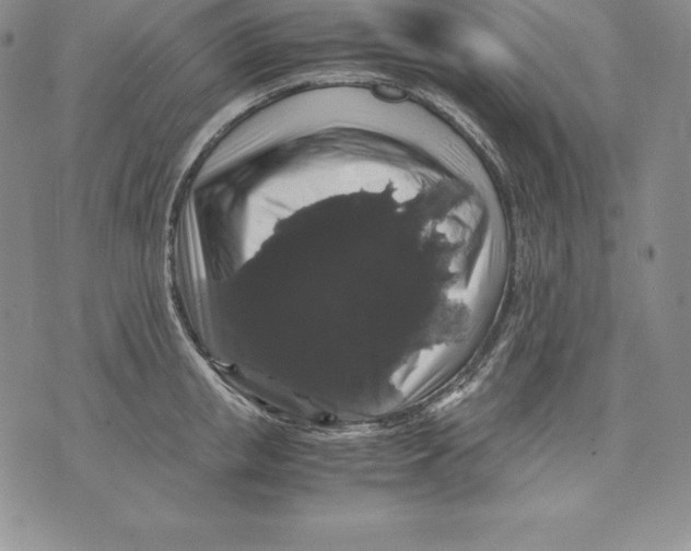 X0000071780853200607282236