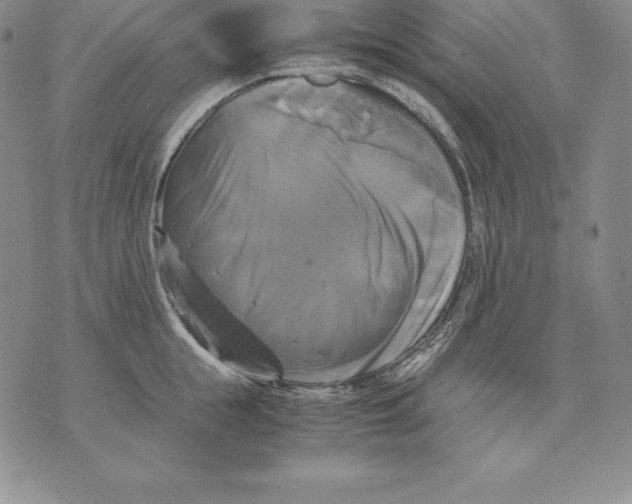 X0000071780855200607282236