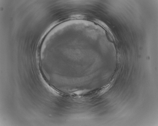 X0000071780859200607282236