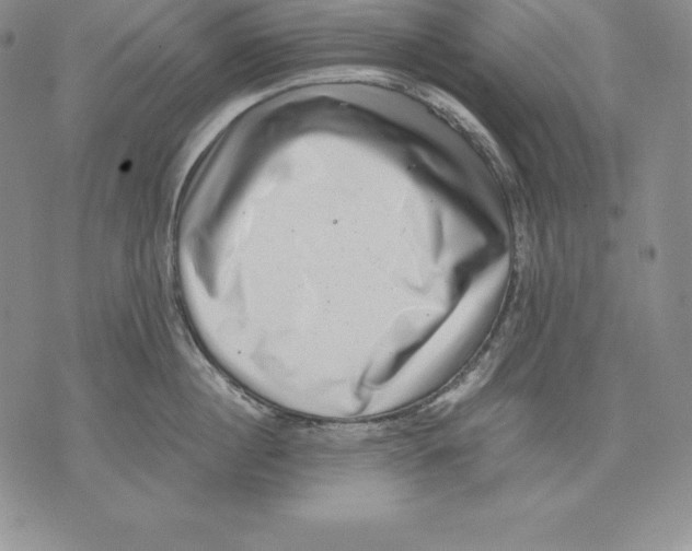 X0000071780860200607282236