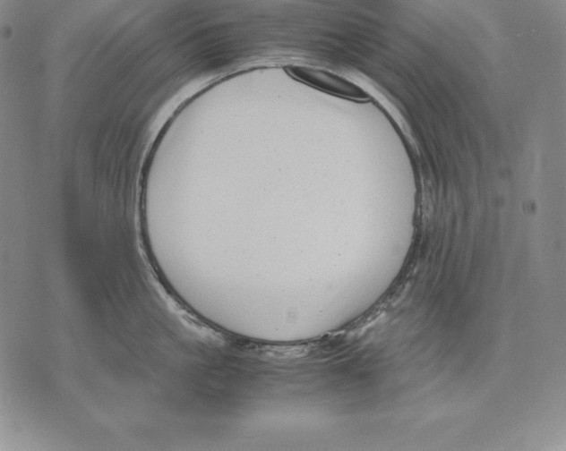 X0000071780861200607282236