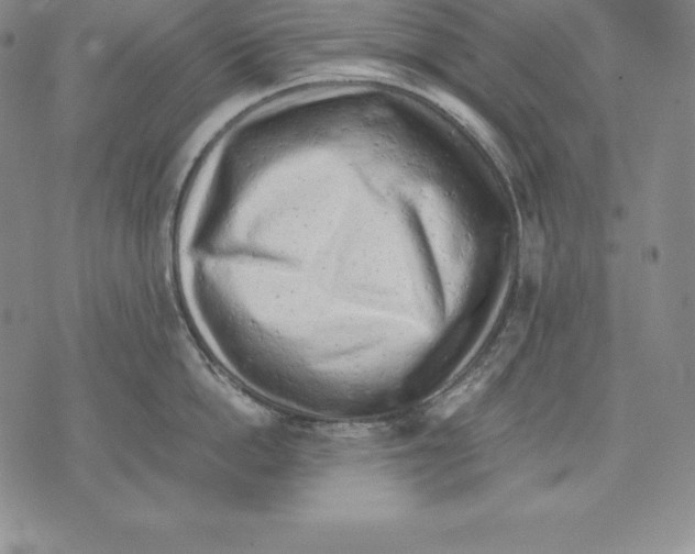 X0000071780862200607282236