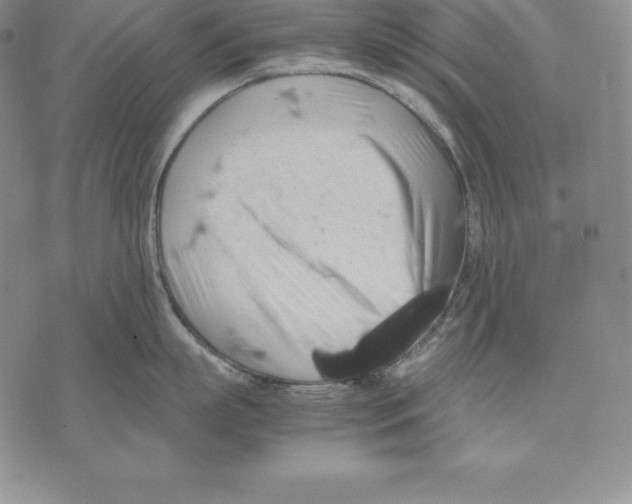 X0000071780863200607282236