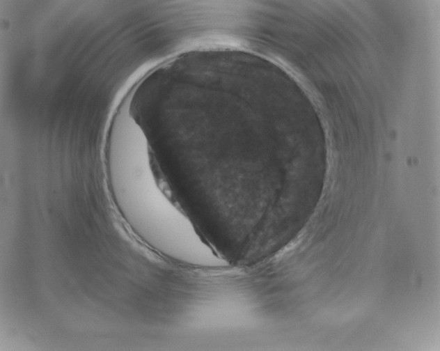 X0000071780864200607282236